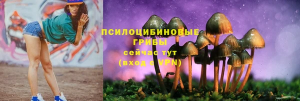 каннабис Бердск