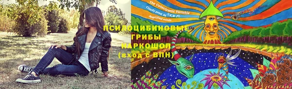 шишки Орехово-Зуево