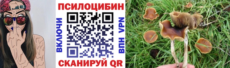 Галлюциногенные грибы прущие грибы  Кирсанов 
