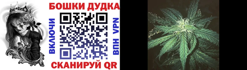 Шишки марихуана Bruce Banner  наркошоп  Кирсанов 